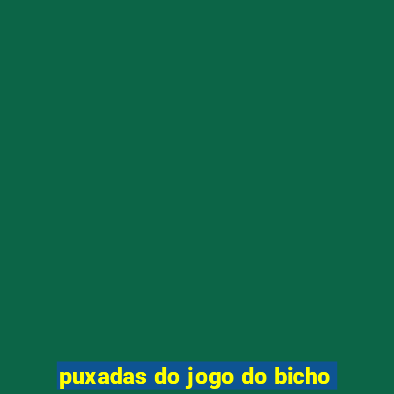 puxadas do jogo do bicho